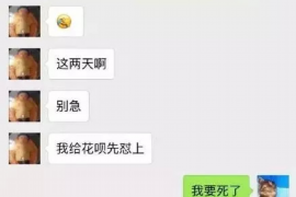 西丰贷款清欠服务